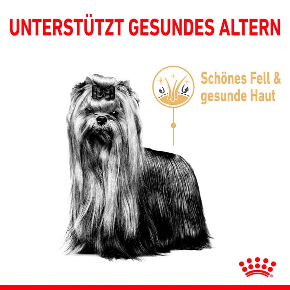Royal Canin Yorkshire Terrier 8+ Trockenfutter für ältere Hunde_3