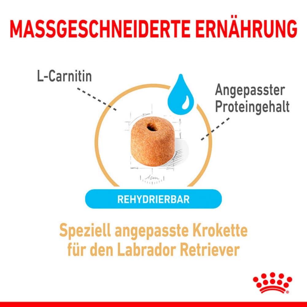 Royal Canin Labrador Retriever Adult 5+ Trockenfutter für Hunde ab 5 Jahren_4