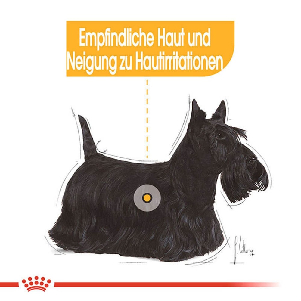 Royal Canin Dermacomfort Mini Trockenfutter für kleine Hunde mit empfindlicher Haut_3
