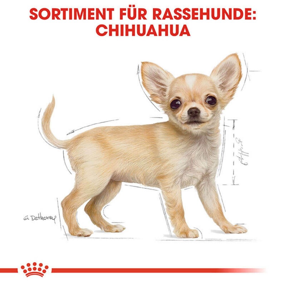 Royal Canin Chihuahua Puppy Welpenfutter trocken_3