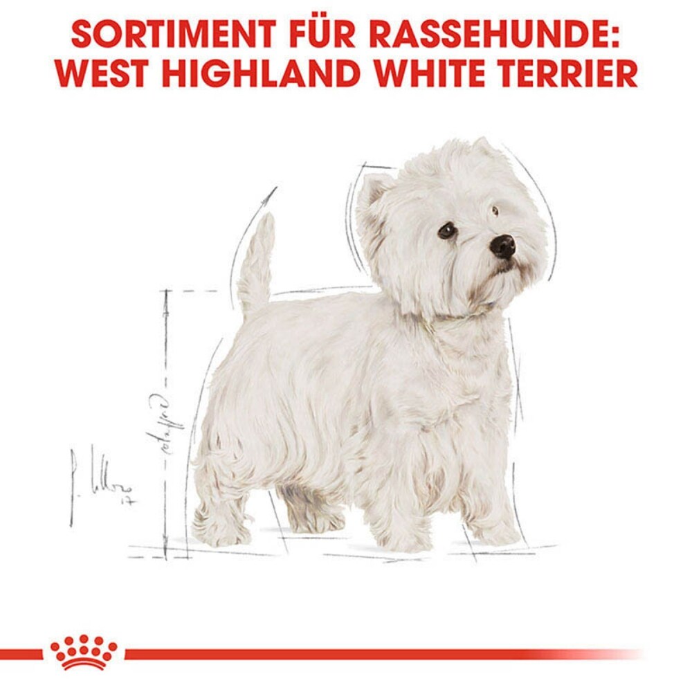 Royal Canin West Highland White Terrier Adult Hundefutter trocken_3