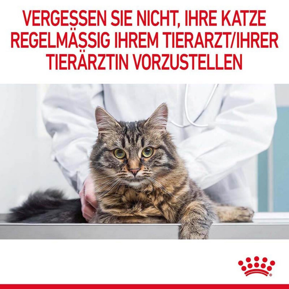 Royal Canin Appetite Control Care Trockennahrung für erwachsene Katzen _8