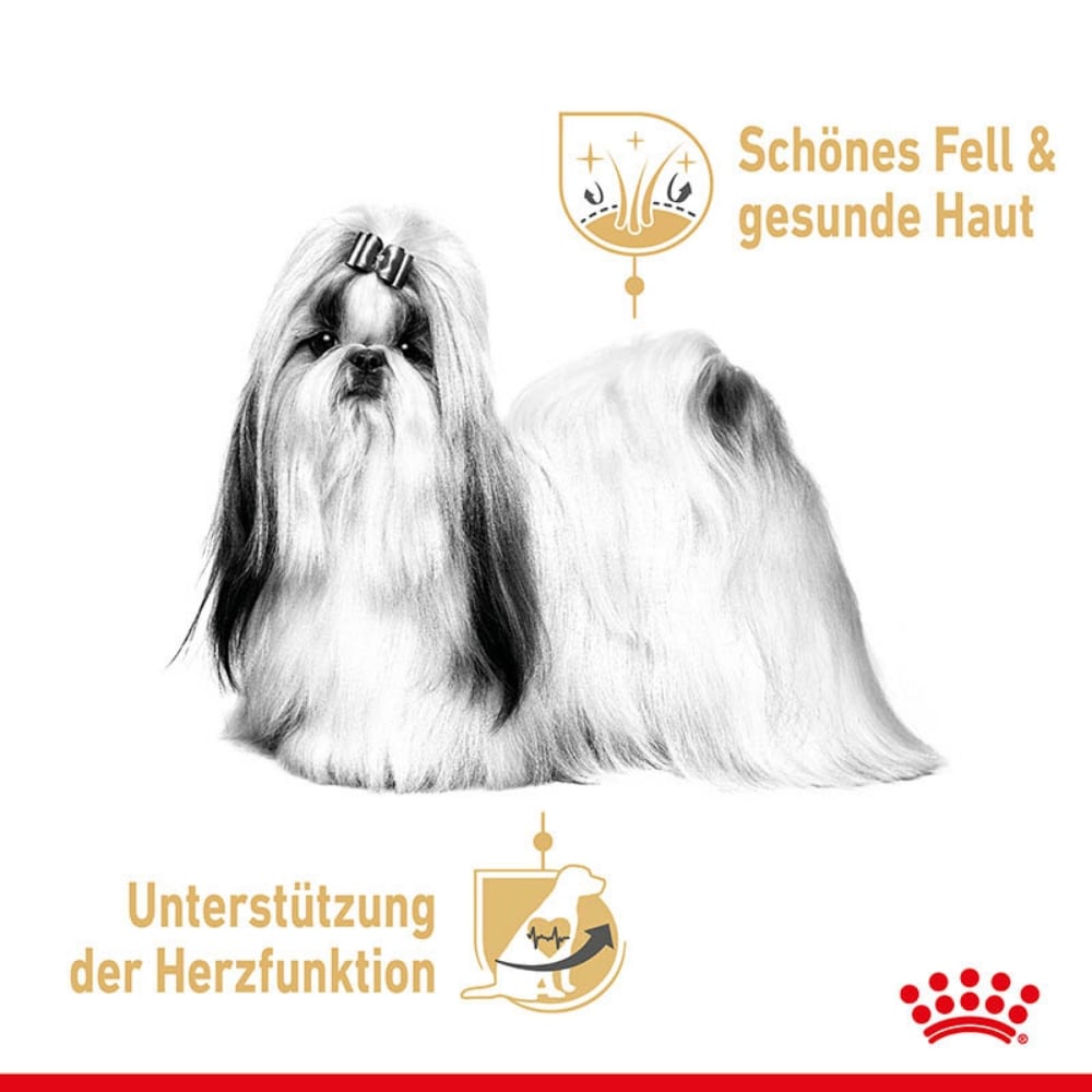 Royal Canin Shi Tzu Adult Mousse Hundefutter nass für Shi Tzu_3
