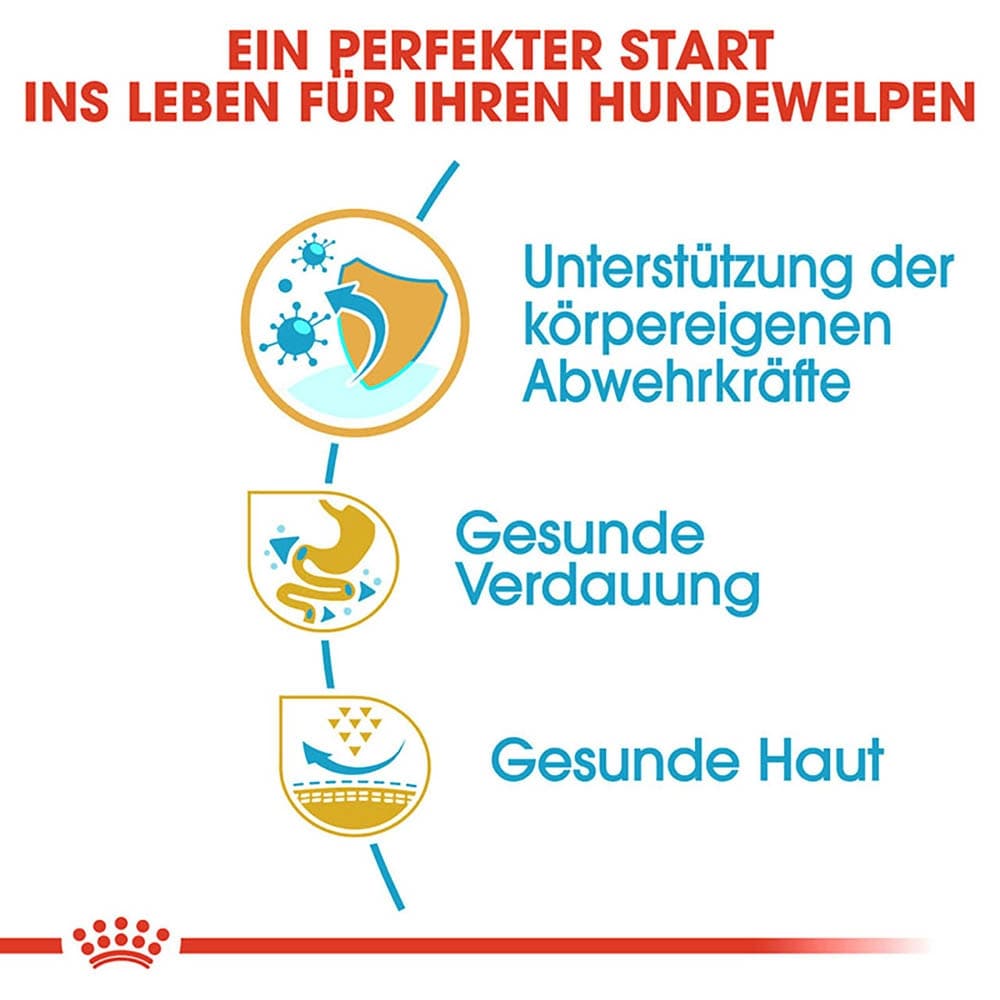 Royal Canin French Bulldog Puppy Welpenfutter trocken für Französische Bulldoggen_5