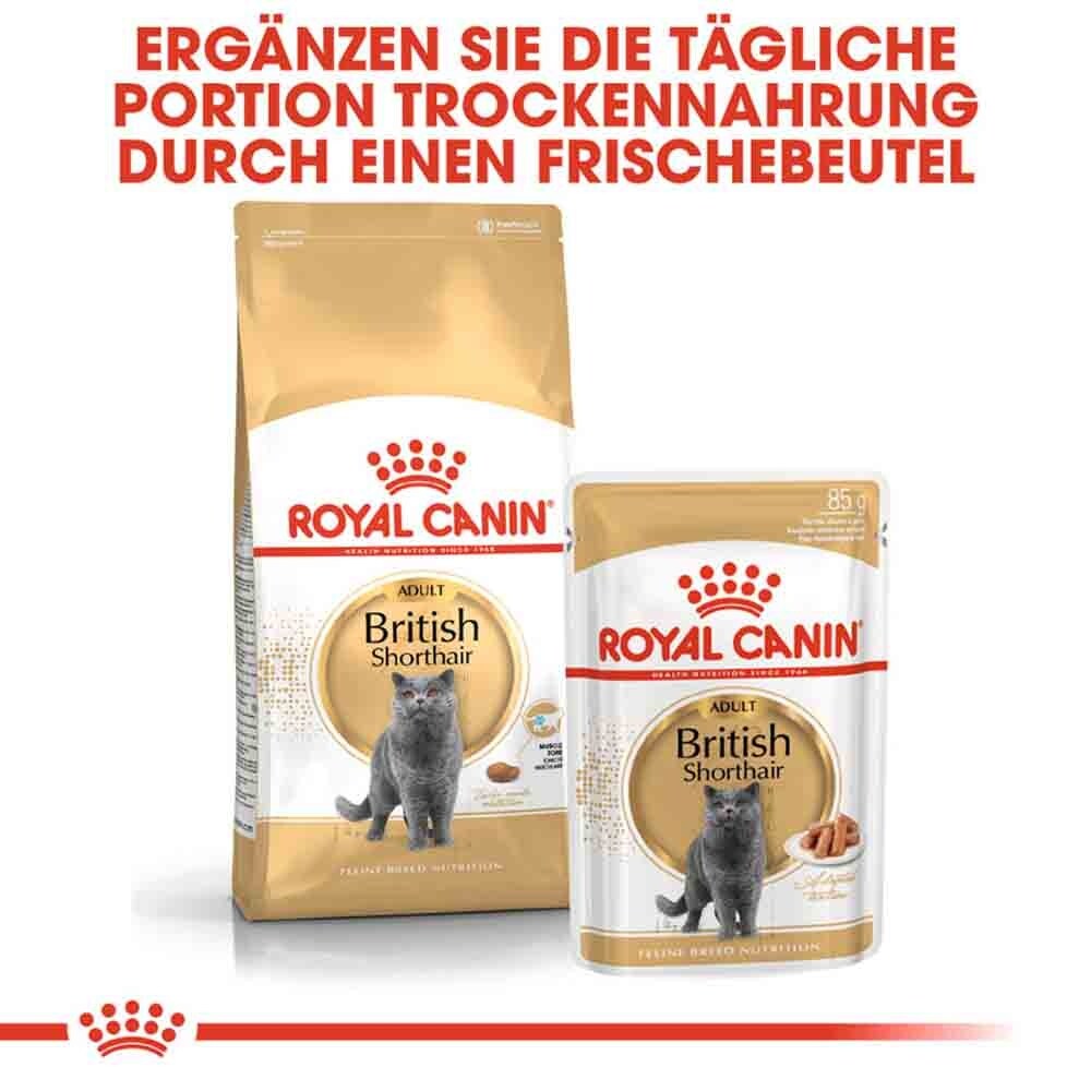 Royal Canin British Shorthair Katzenfutter trocken für Britisch Kurzhaar_6