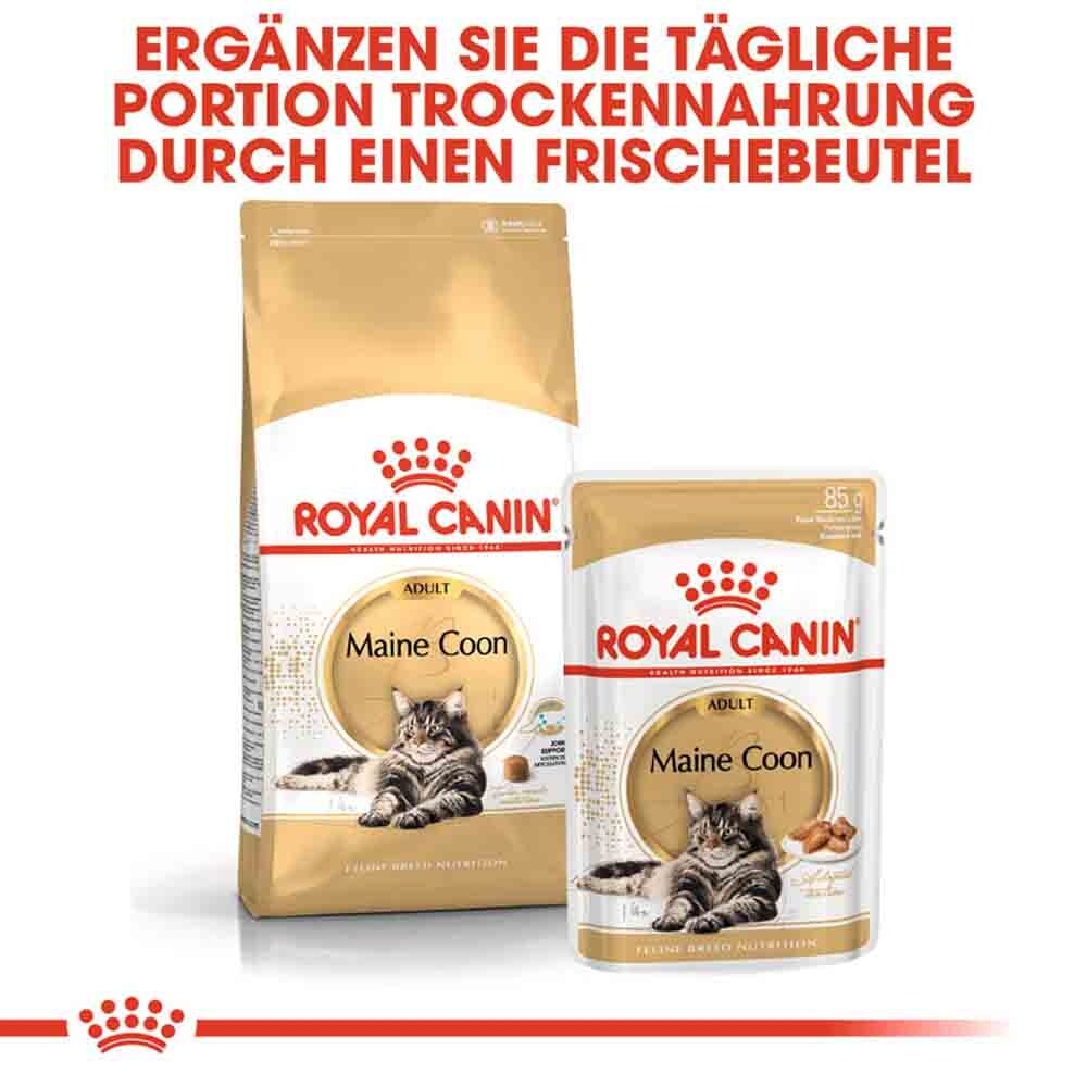 Royal Canin Maine Coon Adult Katzenfutter trocken _6