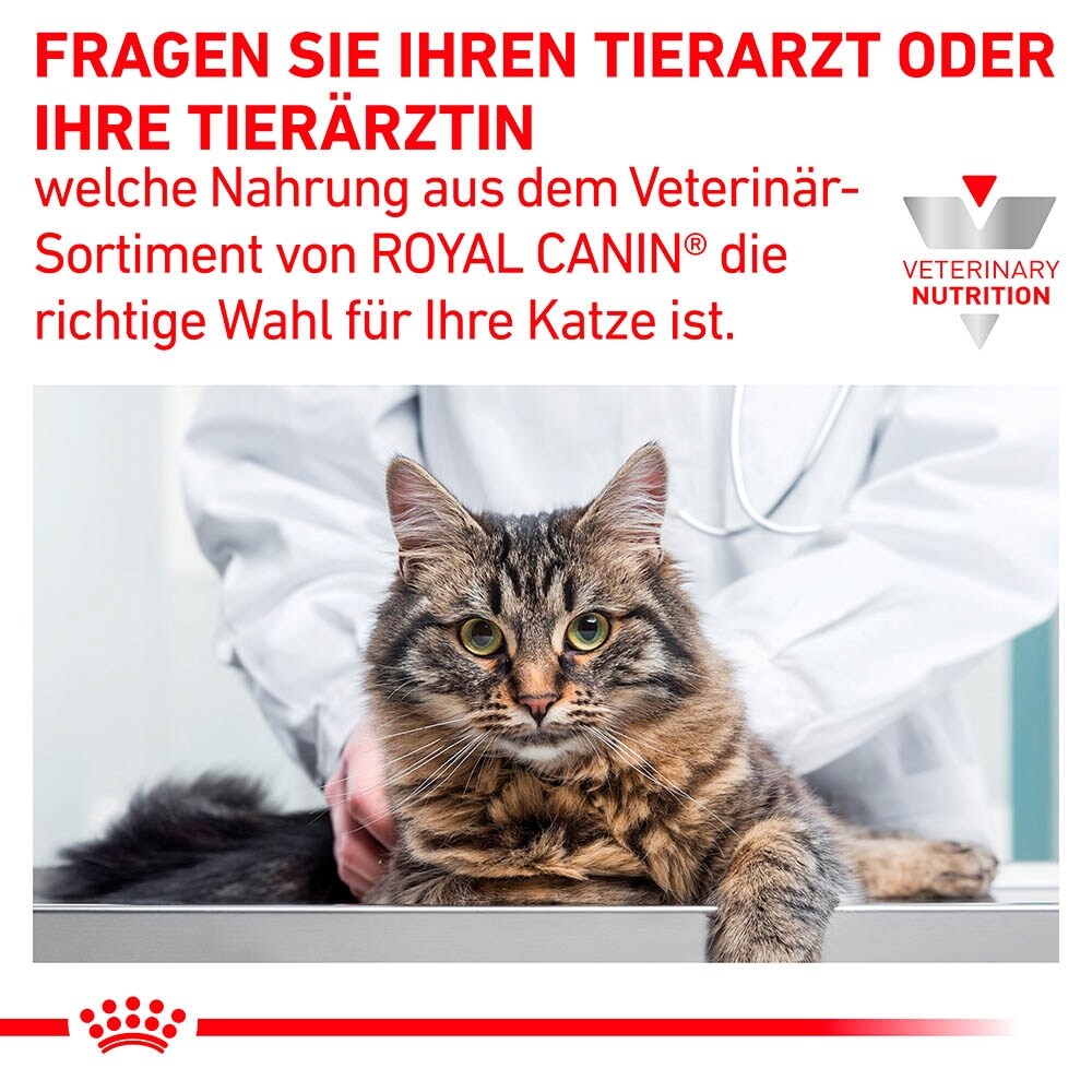 Royal Canin Veterinary Gastrointestinal Moderate Calorie Nassfutter für Katzen_6
