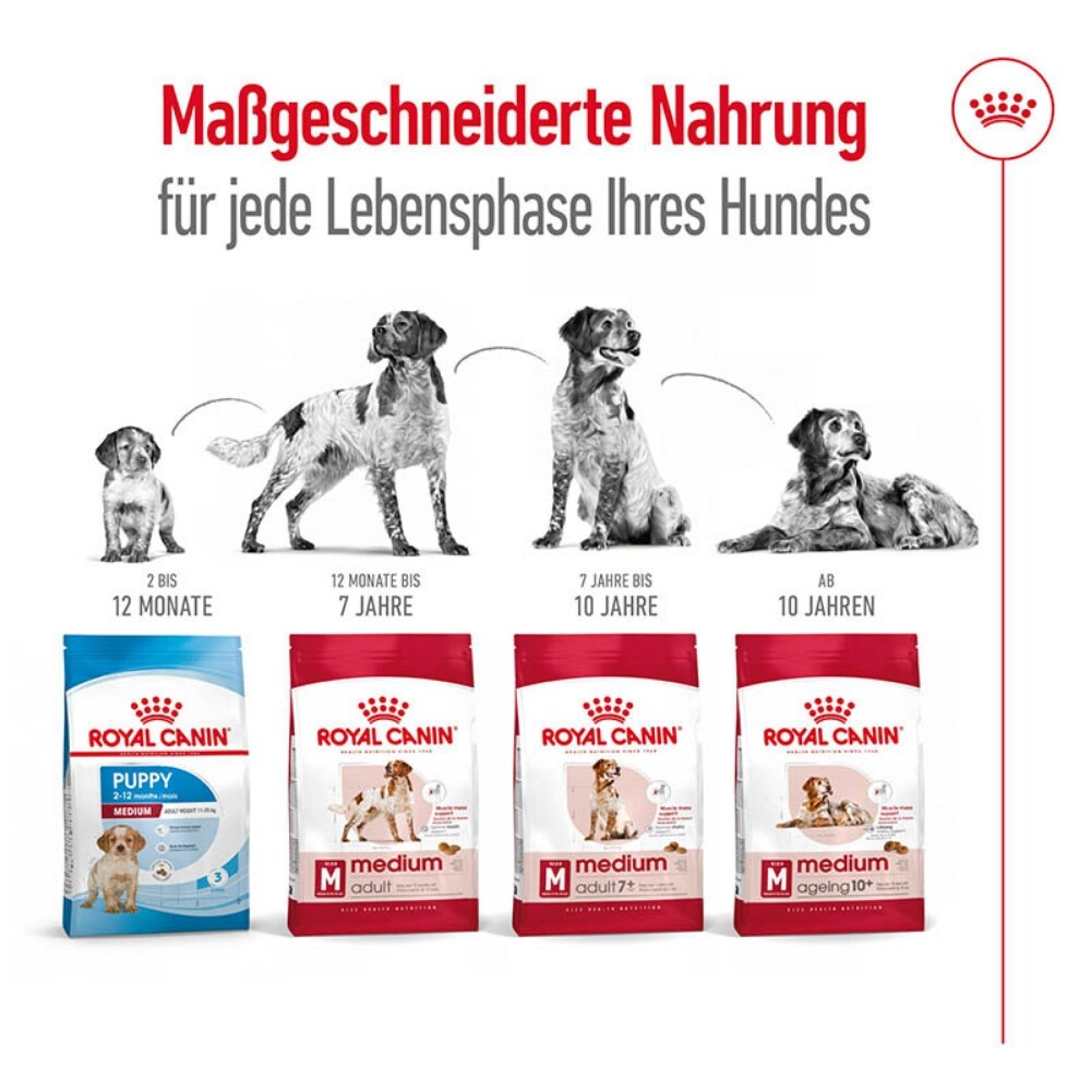 Royal Canin Medium Adult Trockenfutter für mittelgroße Hunde_7