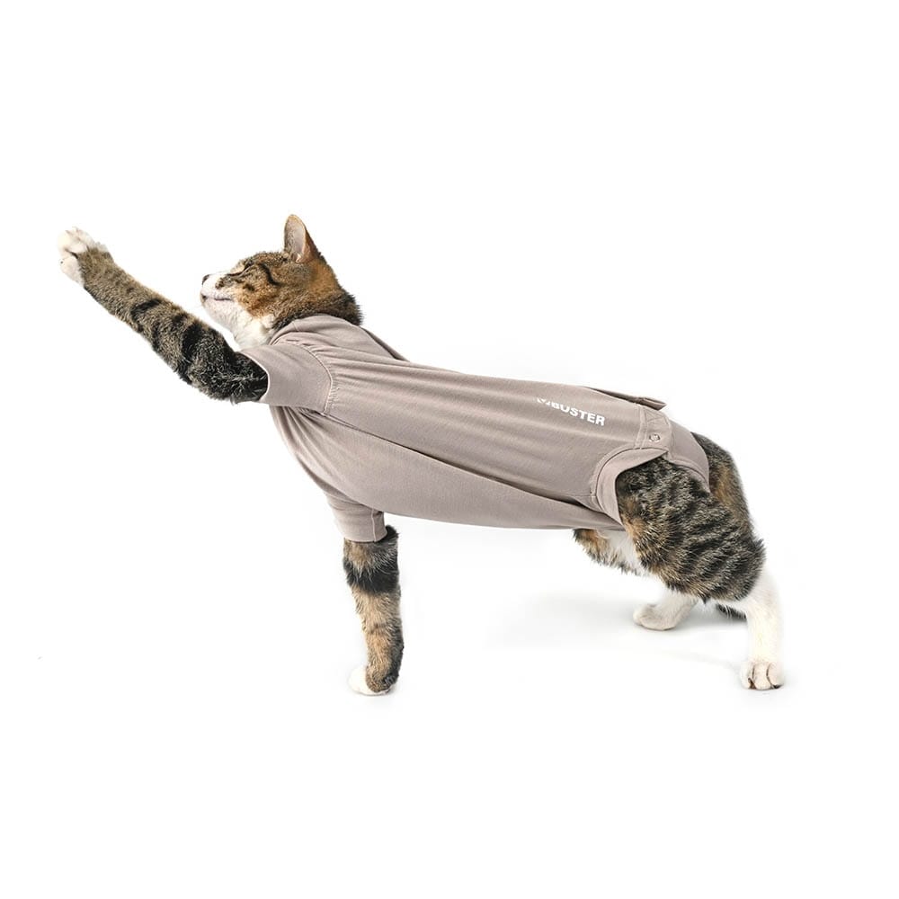 Kruuse Buster Body Suit Step’n Go für Katzen_2