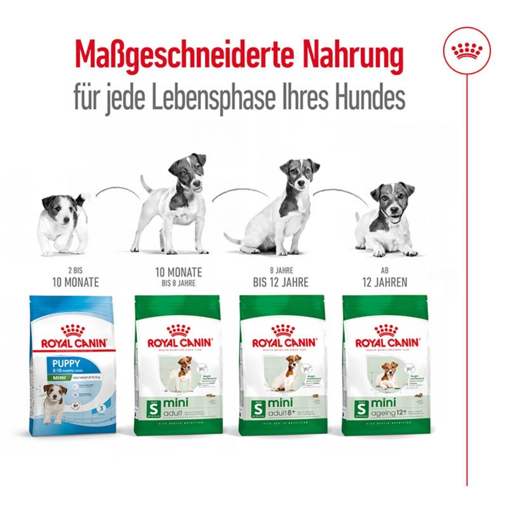 Royal Canin Mini Adult Trockenfutter für kleine Hunde_7