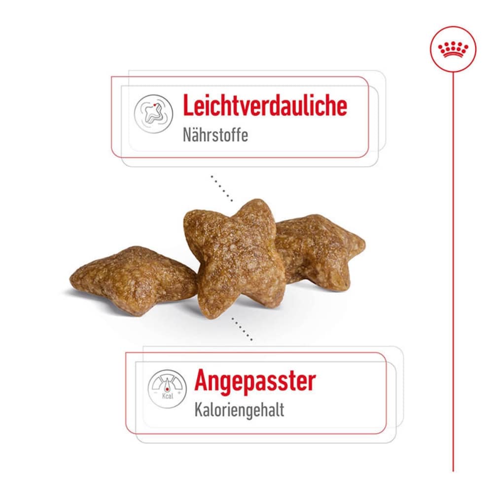 Royal Canin Mini Adult Trockenfutter für kleine Hunde_4