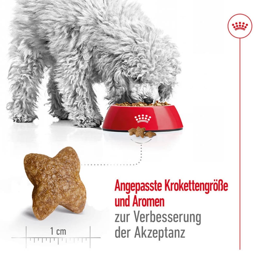 Royal Canin Mini Adult Trockenfutter für kleine Hunde_5