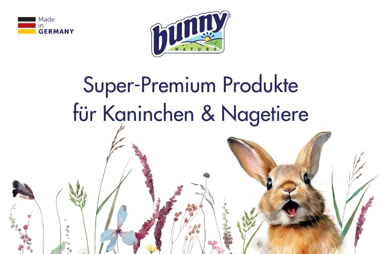 bunnyNature