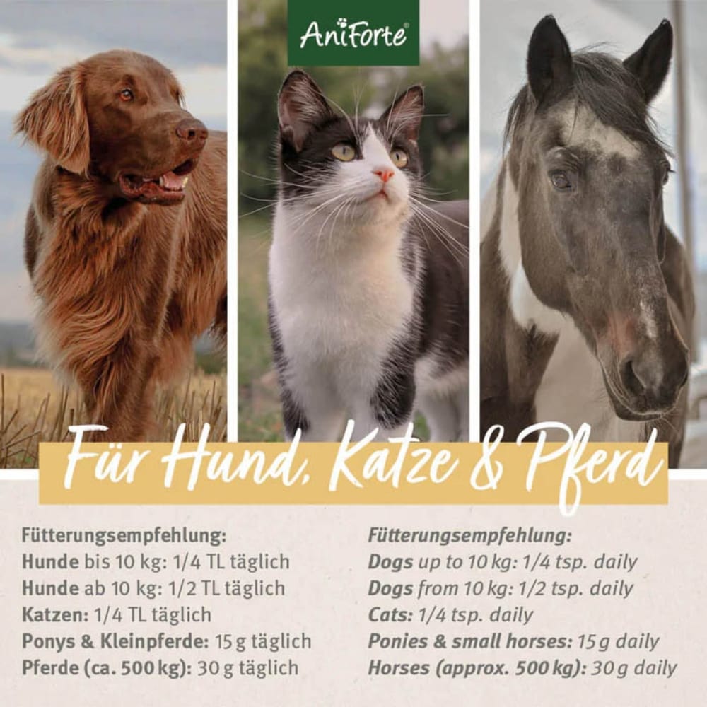 AniForte Indische Flohsamen für Hunde und Katzen_4