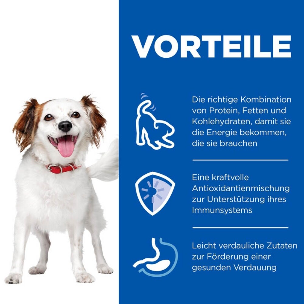 Hills Science Plan Small & Mini Adult Mousse für Hunde mit Rindfleisch_5