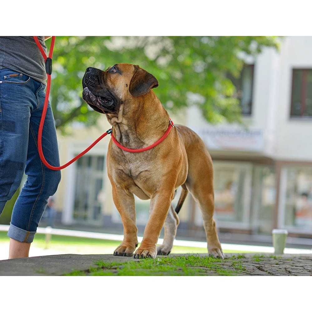 Hunter Leine Retriever Freestyle rot_5