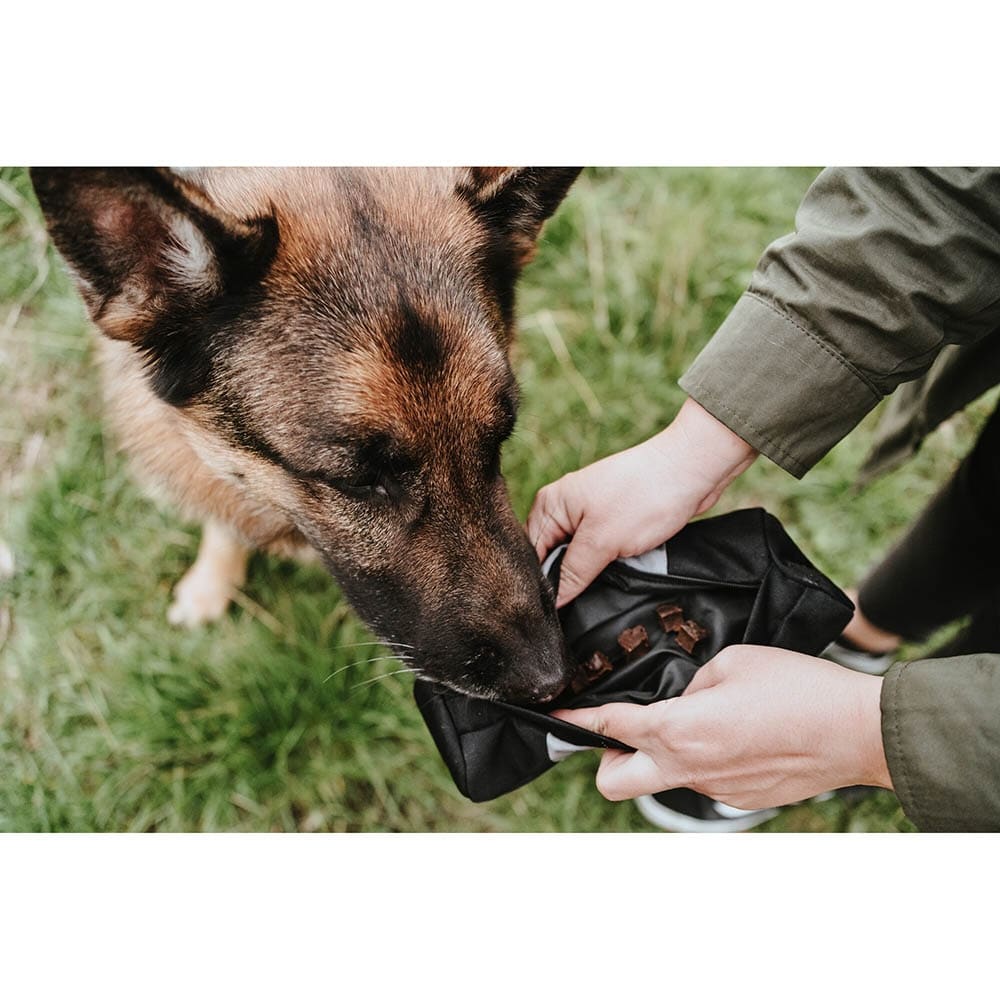 Hunter Dummy Trainer Snack grau_3