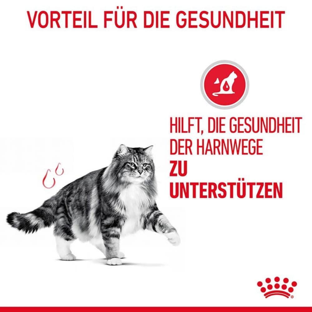 Royal Canin Urinary Care Nassfutter für Katzen in Soße zur Unterstützung der Harnwege_5