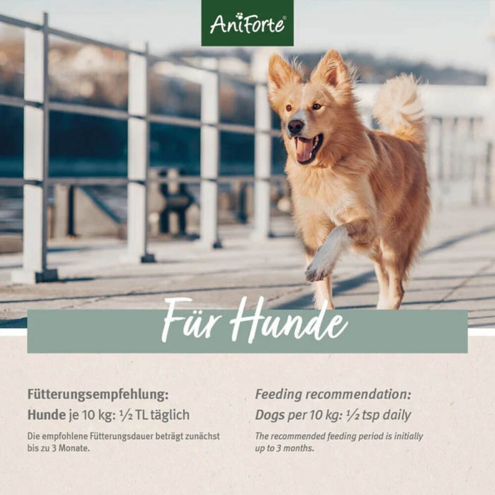 AniForte plus Arthro Omega Öl_5