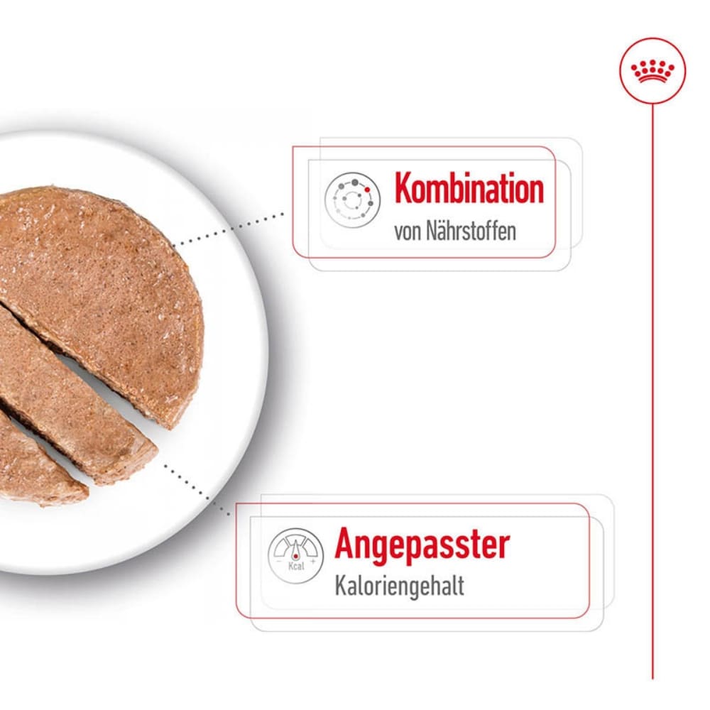 Royal Canin Mini Ageing Feuchtnahrung als Mousse (>8. Lebensjahr)_3
