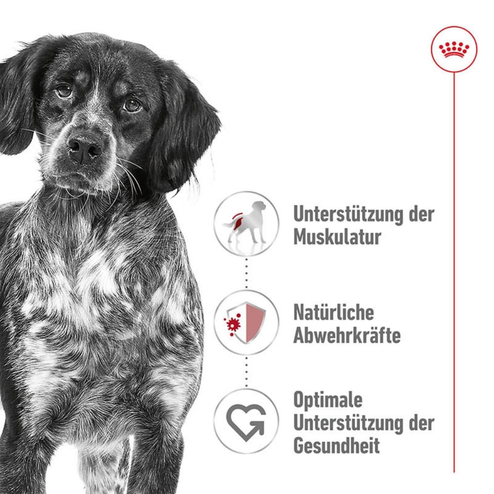 Royal Canin Medium Adult  Feuchtnahrung als Mousse (>12. Lebensmonat)_2