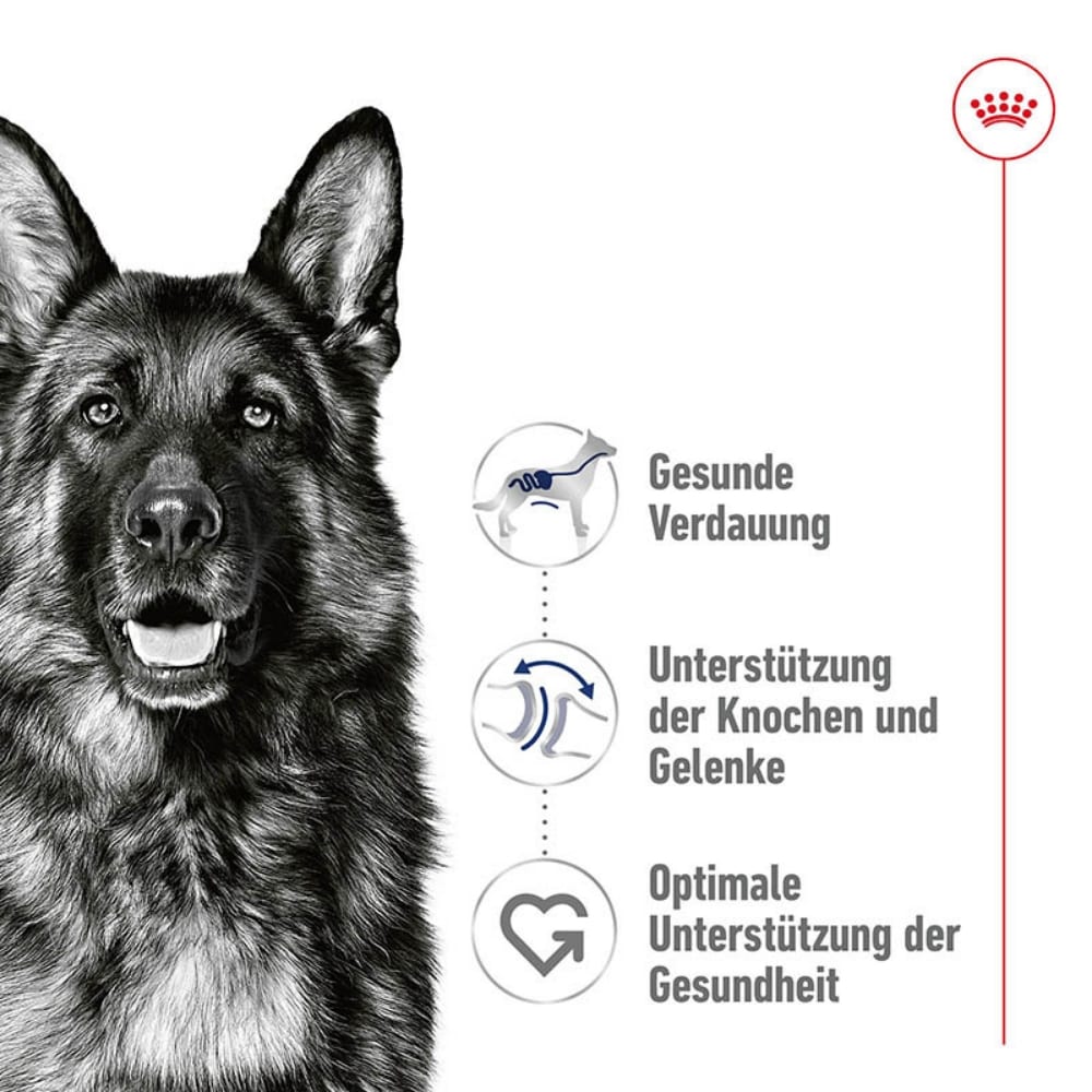 Royal Canin Maxi Adult Feuchtnahrung als Mousse (>15. Lebensmonat)_2