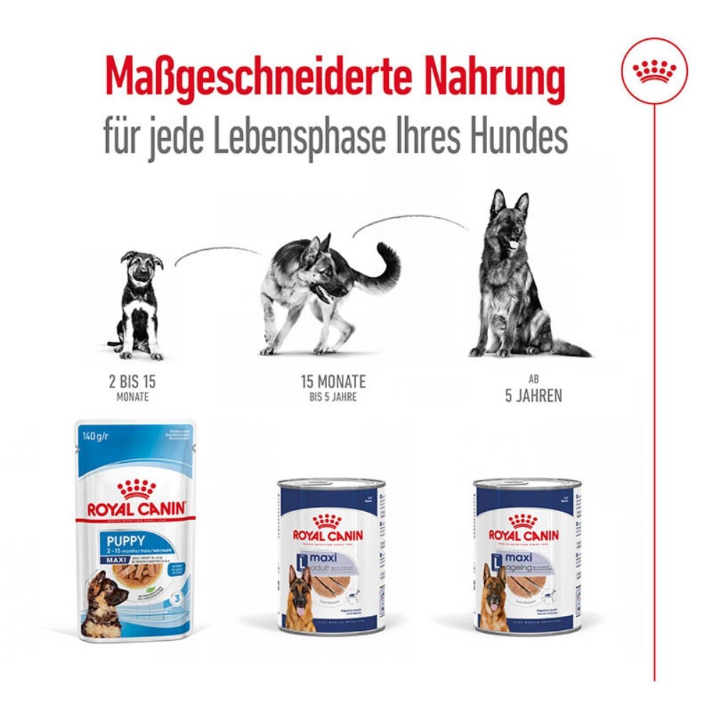 Royal Canin Maxi Adult Feuchtnahrung als Mousse (>15. Lebensmonat)_4