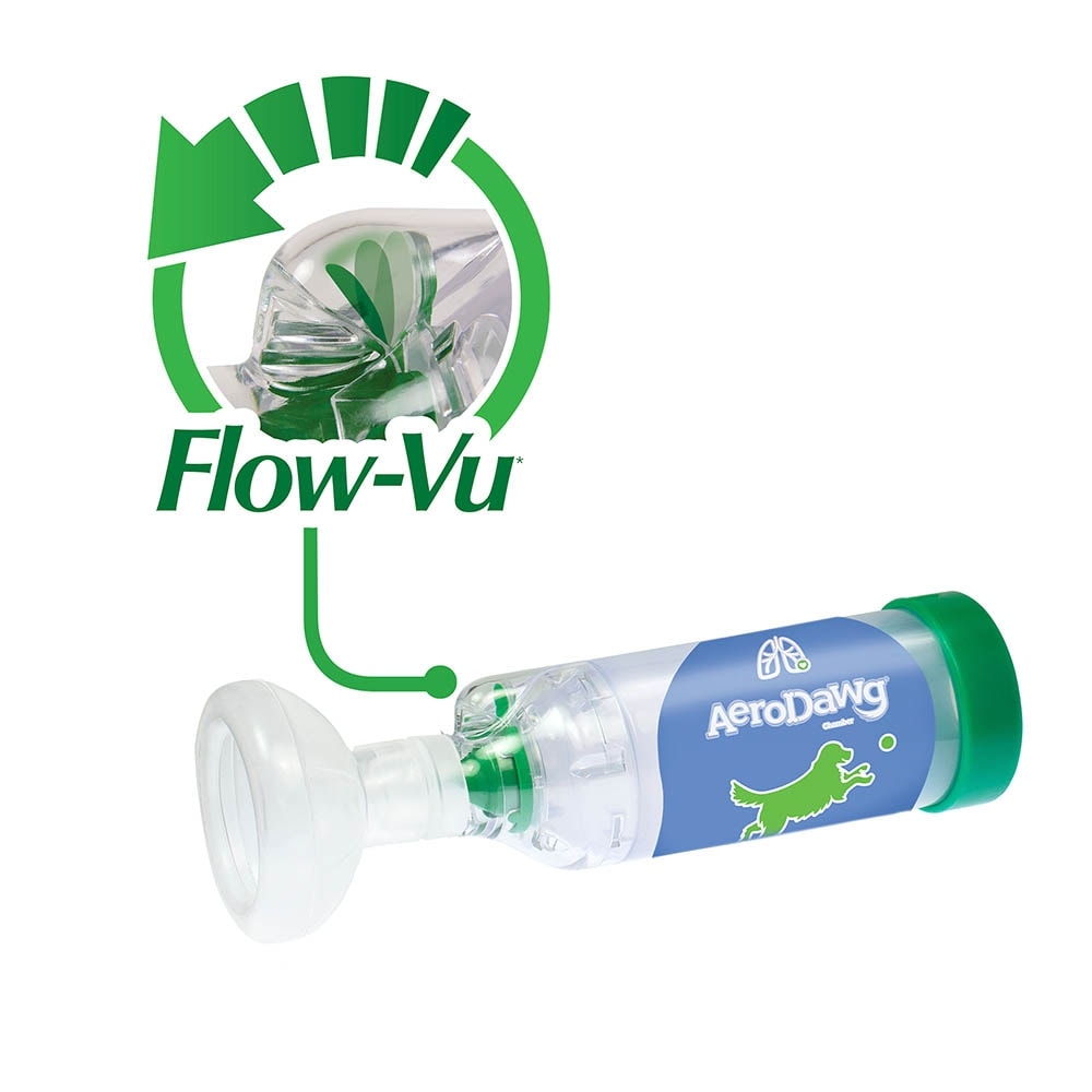 AeroDawg für Hunde_3