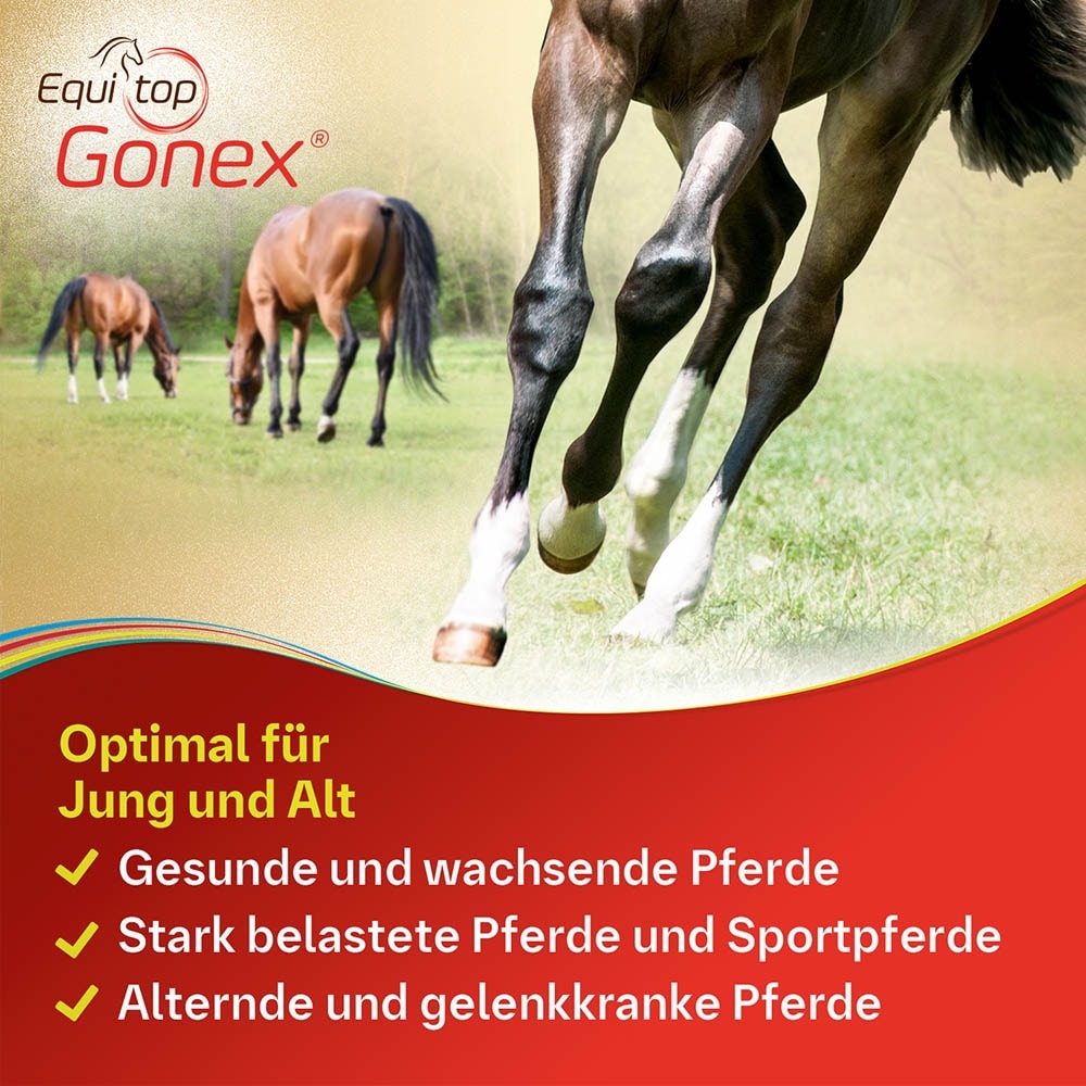 Boehringer Ingelheim Equitop Gonex_6