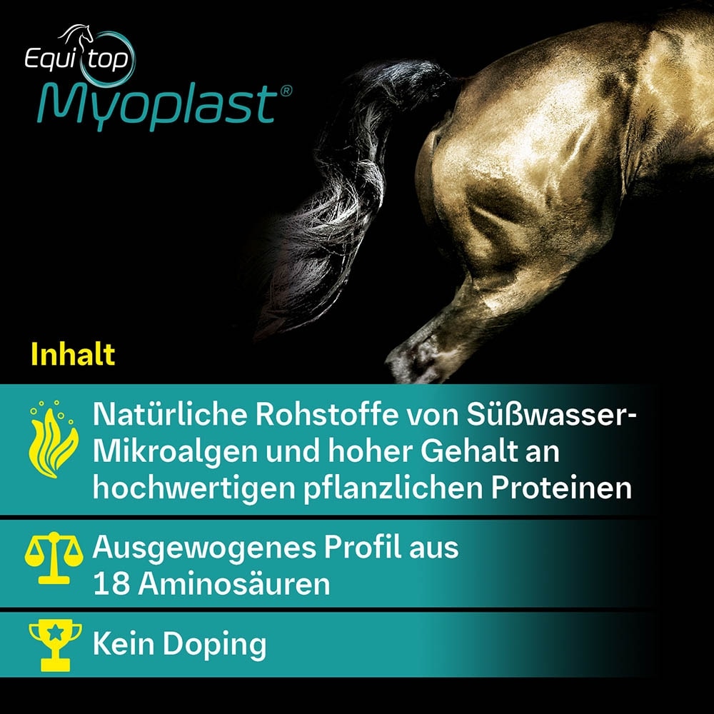 Boehringer Ingelheim Equitop Myoplast Granulat_5