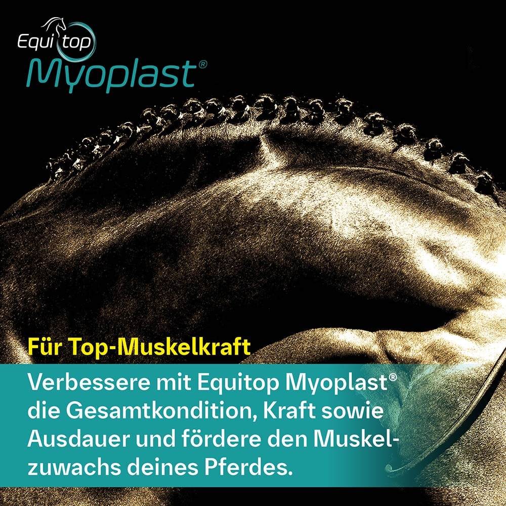 Boehringer Ingelheim Equitop Myoplast Granulat_3