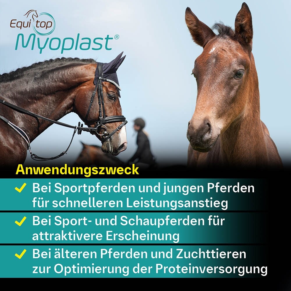 Boehringer Ingelheim Equitop Myoplast Granulat_7