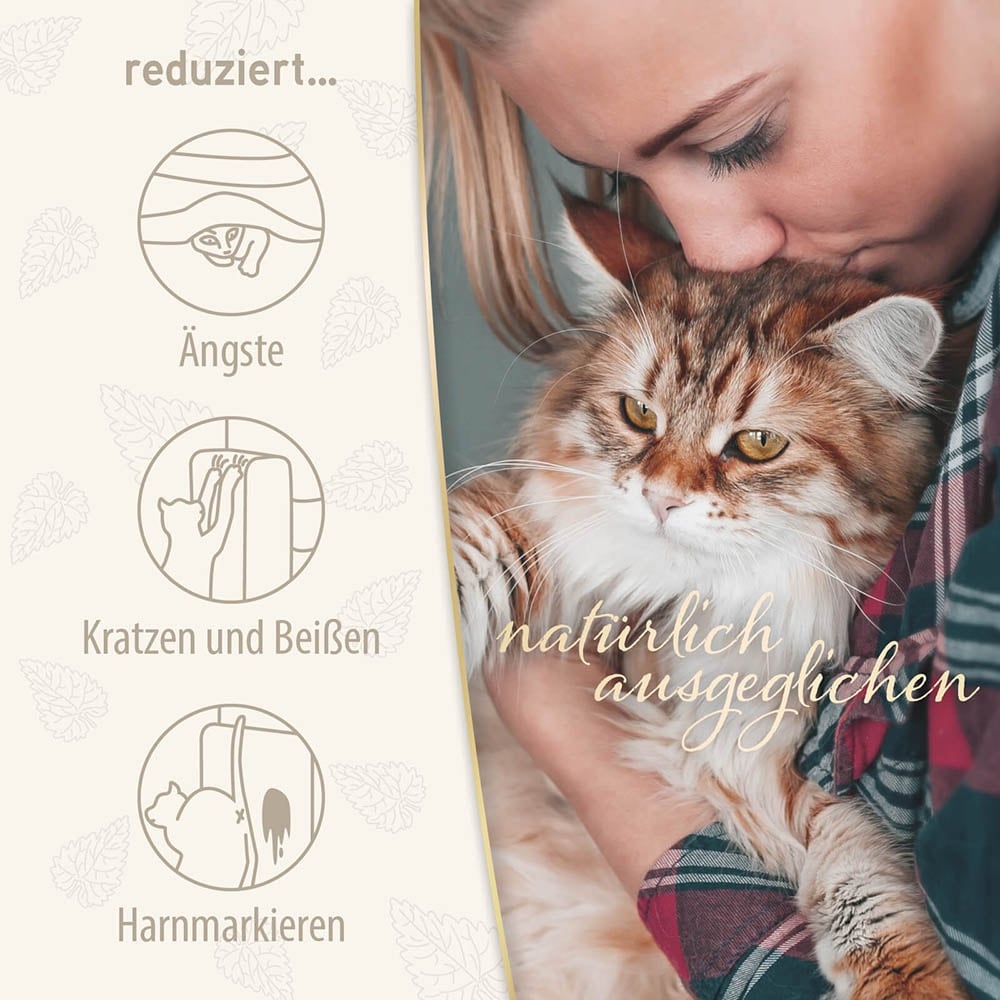Felisept Home Comfort Raumdiffuser Set für Katzen _6