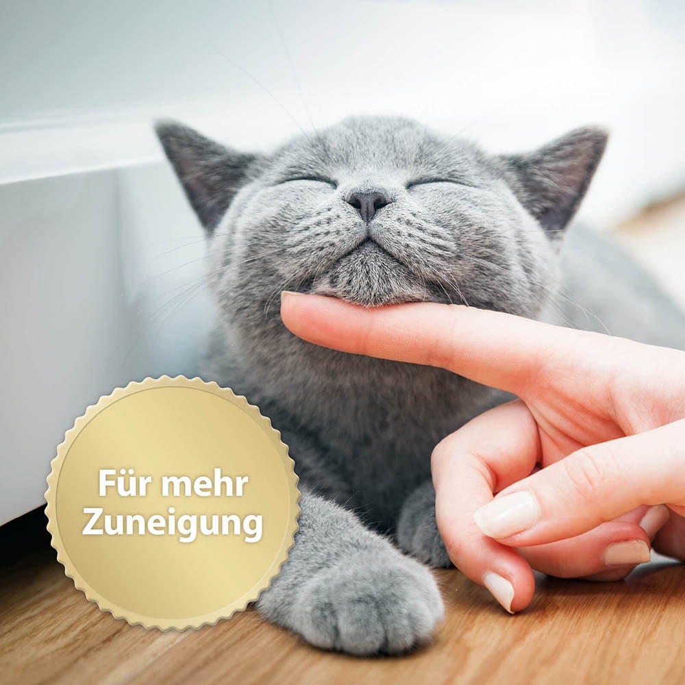 Felisept Home Comfort Nachfüll-Flakon für Katzen_5