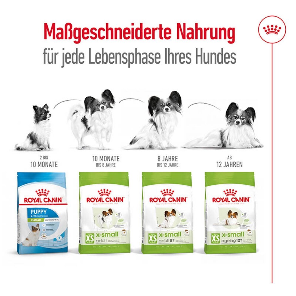 Royal Canin X-Small Ageing 12+ Trockenfutter für ältere sehr kleine Hunde_5