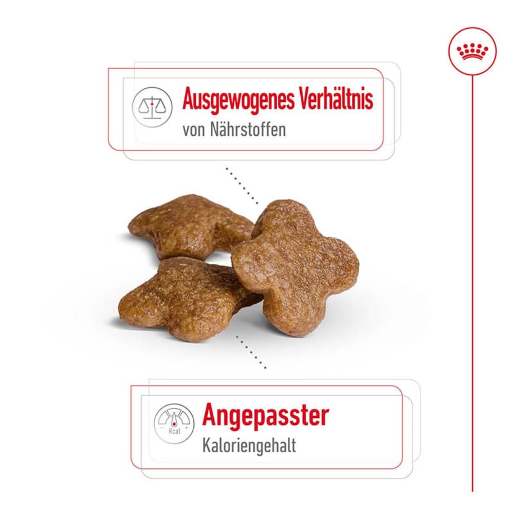 Royal Canin Mini Adult 8+ Trockenfutter für ältere kleine Hunde_3