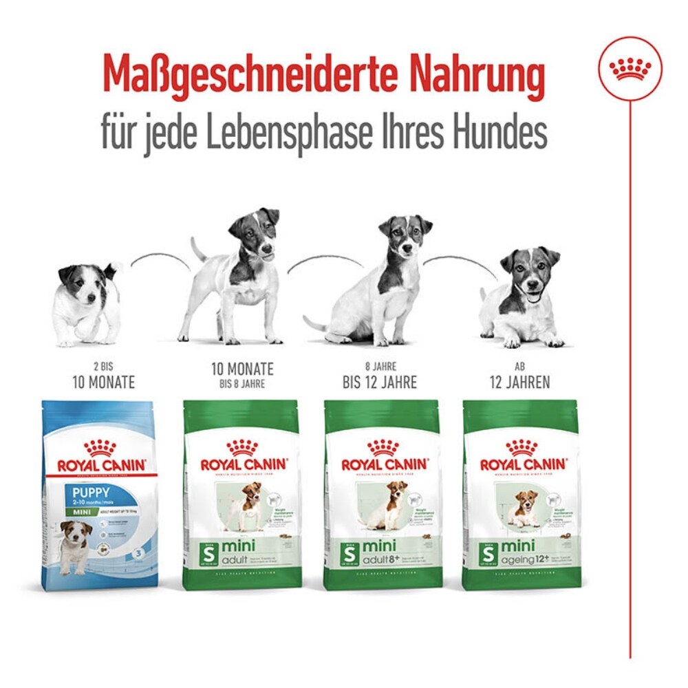Royal Canin Mini Adult 8+ Trockenfutter für ältere kleine Hunde_6
