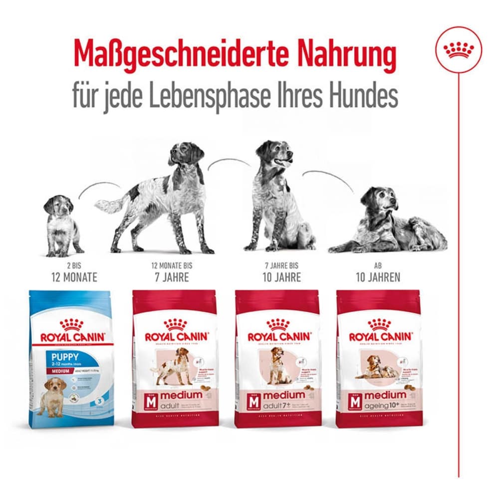 Royal Canin Medium Ageing 10+ Trockenfutter für ältere mittelgroße Hunde_6