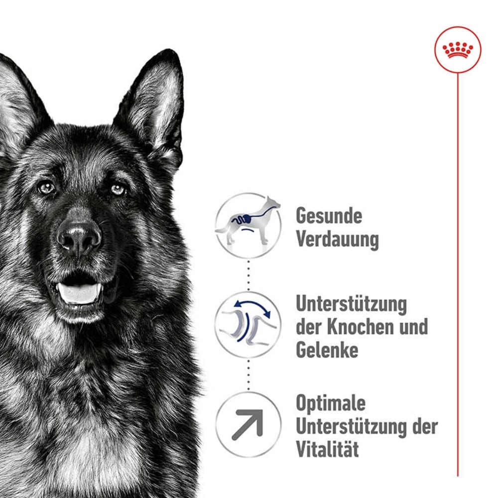 Royal Canin Maxi Adult 5+ Trockenfutter für ältere große Hunde_2