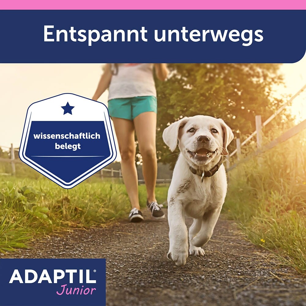 Adaptil Junior Halsband_7