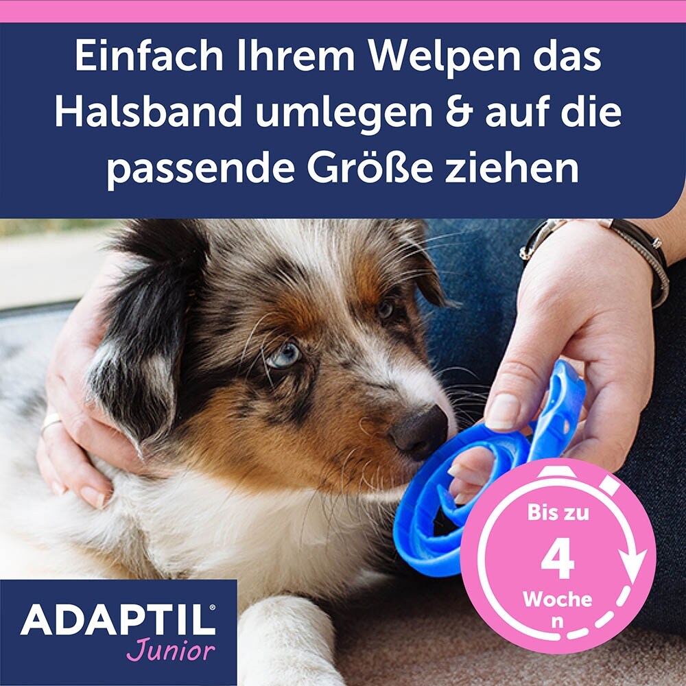 Adaptil Junior Halsband_4