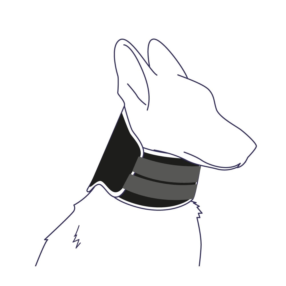 Balto Halsmanschette BT Neck Eco _4