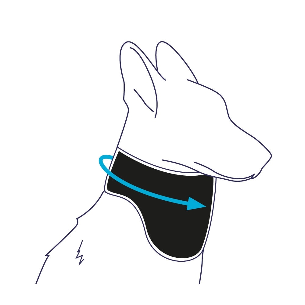 Balto Halsmanschette BT Neck Eco _6