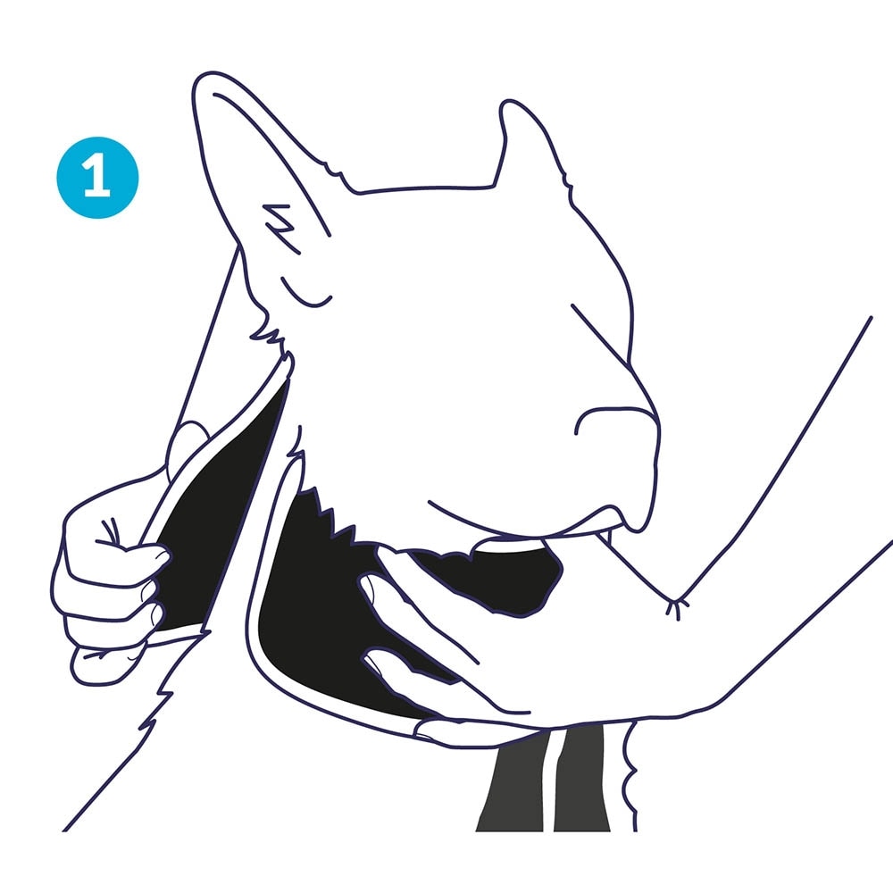 Balto Halsmanschette BT Neck Eco _2