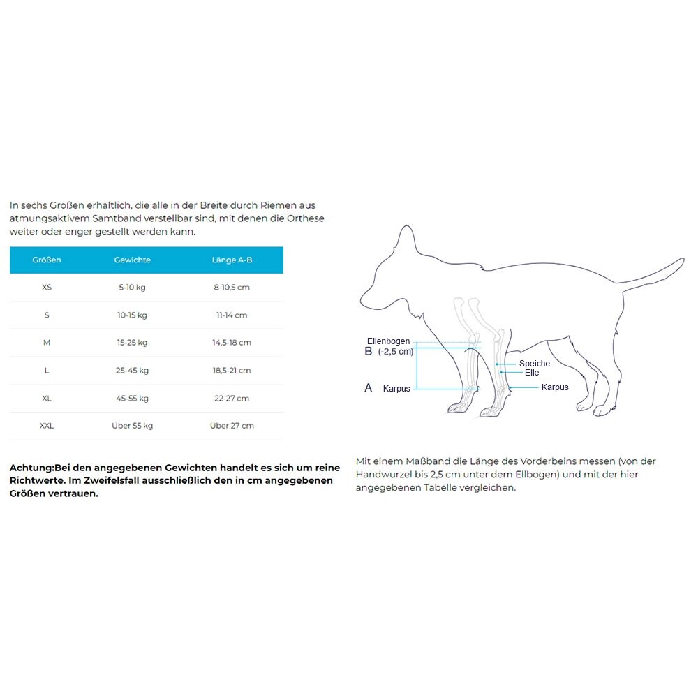 Balto Rehab-Orthese BT Bone_6