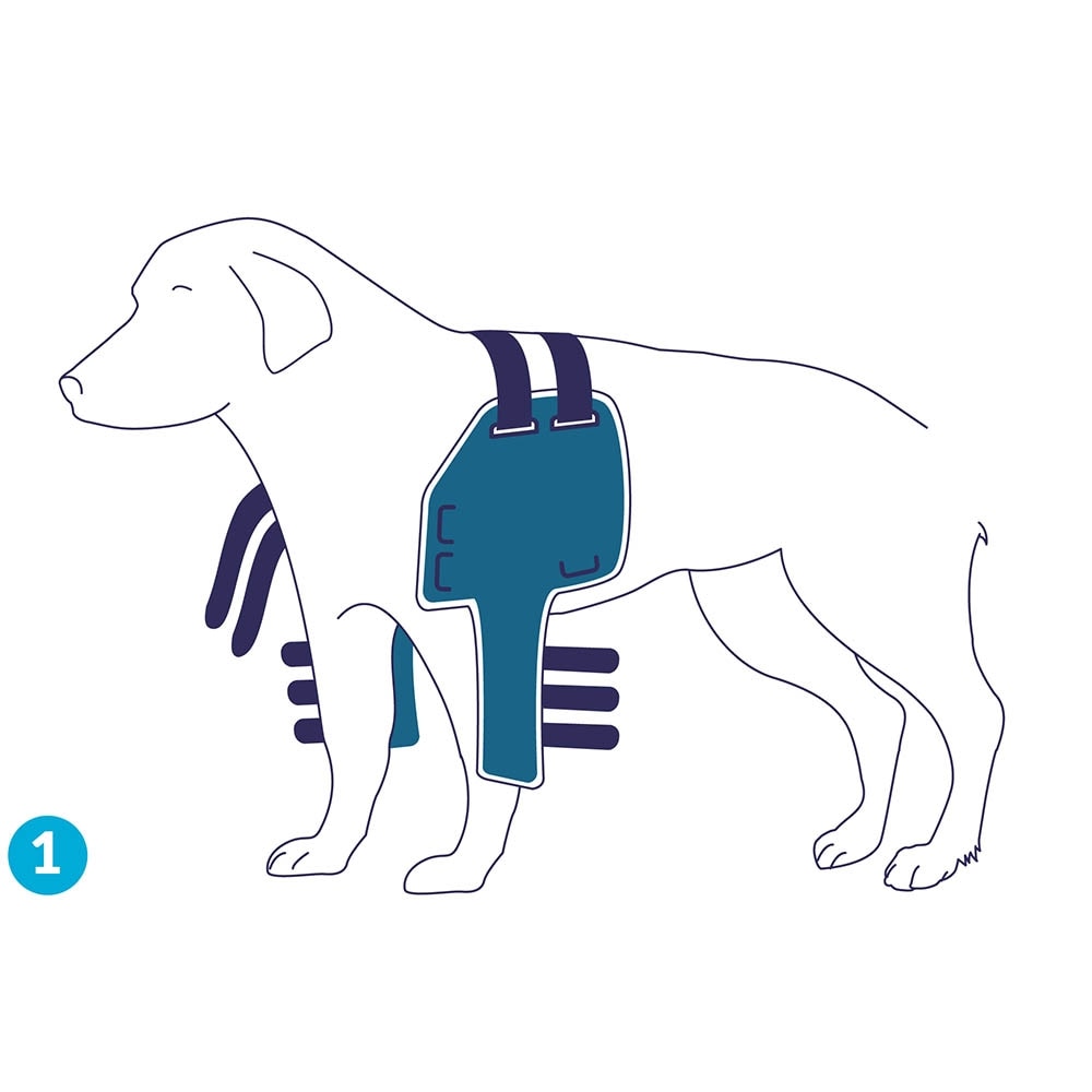 Balto Rehab-Orthese BT Lux_2