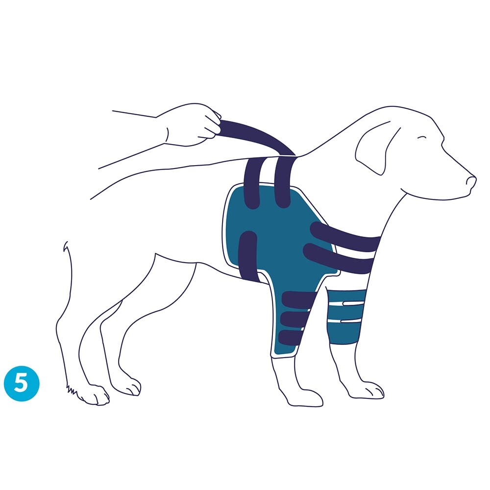 Balto Rehab-Orthese BT Lux_6