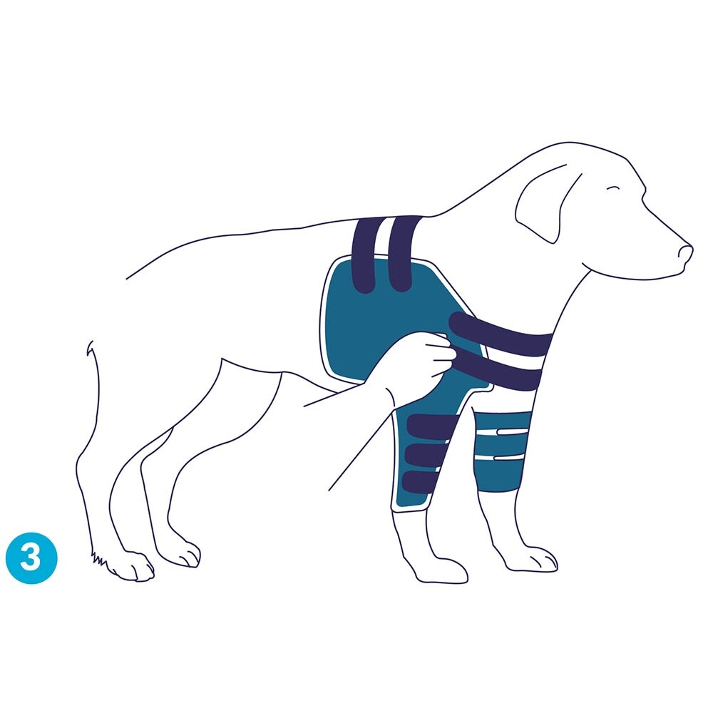 Balto Rehab-Orthese BT Lux_4