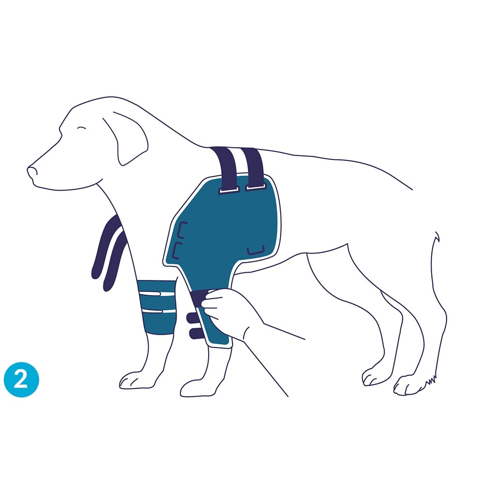 Balto Rehab-Orthese BT Lux_3