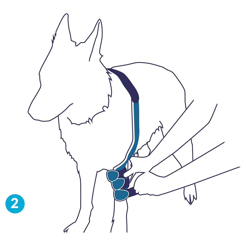 Balto Rehab Orthese BT Soft Links_3